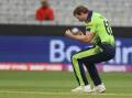 Barry McCarthy, pictured in T20 action, has given Ireland control of their Test with Zimbabwe. Photo: AP PHOTO