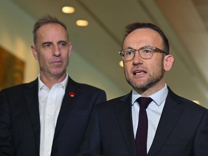 Nick McKim and Adam Bandt continue to attack the stage three tax cuts as mostly helping the wealthy. (Mick Tsikas/AAP PHOTOS)