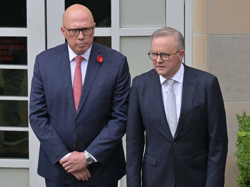 A Newspoll shows 28 per cent of voters back Peter Dutton and Anthony Albanese as preferred leaders. Photo: Mick Tsikas/AAP PHOTOS