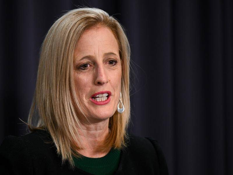 The audit shows the former government used the shadow workforce to plug gaps, says Katy Gallagher. (Lukas Coch/AAP PHOTOS)