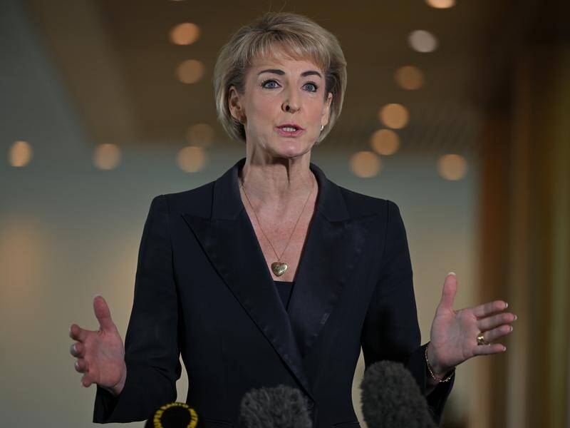 Opposition workplace relations spokeswoman Michaelia Cash wants more time to review legislation. (Mick Tsikas/AAP PHOTOS)