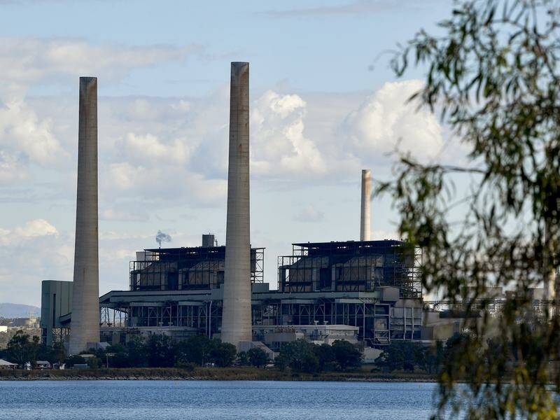 NSW Farmers wants nuclear energy plants to be built on the sites of coal-fired power stations. Photo: Bianca De Marchi/AAP PHOTOS