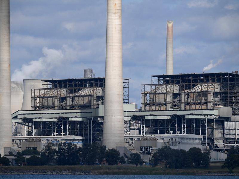 AGL Energy has been preparing for the Liddell power station's closure for seven years. (Dan Himbrechts/AAP PHOTOS)