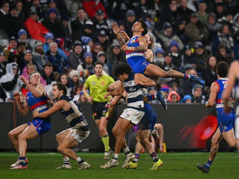 Jamarra Ugle-Hagan soared in a four-goal performance for the Bulldogs as they beat the Cats. Photo: Morgan Hancock/AAP PHOTOS