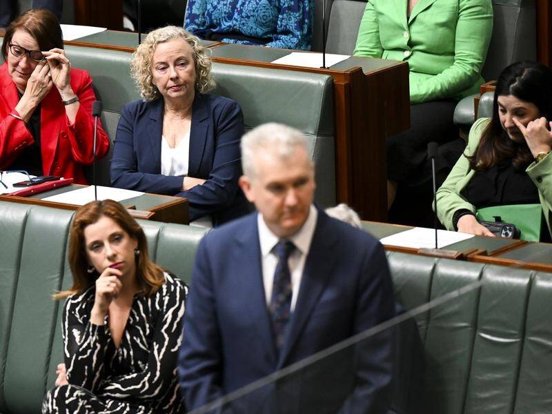 Emotions ran high as ten days of paid domestic violence leave was passed into law. (Lukas Coch/AAP PHOTOS)