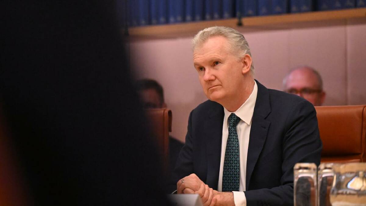 Tony Burke has picked up extra portfolios in the cabinet reshuffle. (Lukas Coch/AAP PHOTOS)