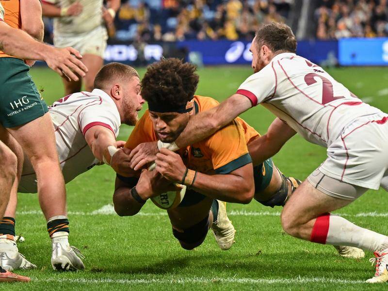 Powerhouse forward Rob Valetini bagged two tries as the Wallabies battled to a win over Georgia. Photo: James Gourley/AAP PHOTOS