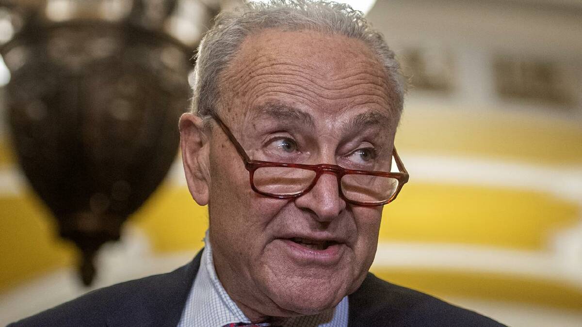 Chuck Schumer reportedly told the president it would be better for the country if he bowed out. (AP PHOTO)