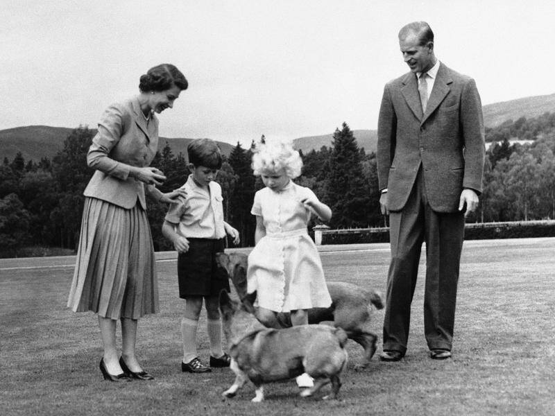 Corgis became synonymous with the Queen, and she owned more than 30 over decades. (AP PHOTO)