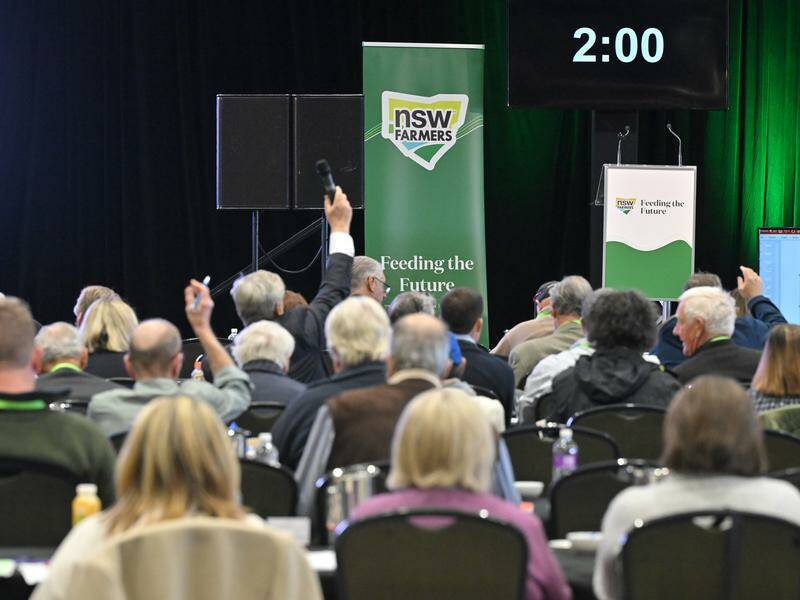 Woolworths says an employee who attended a farmers' conference was not there to undermine producers. Photo: Mick Tsikas/AAP PHOTOS