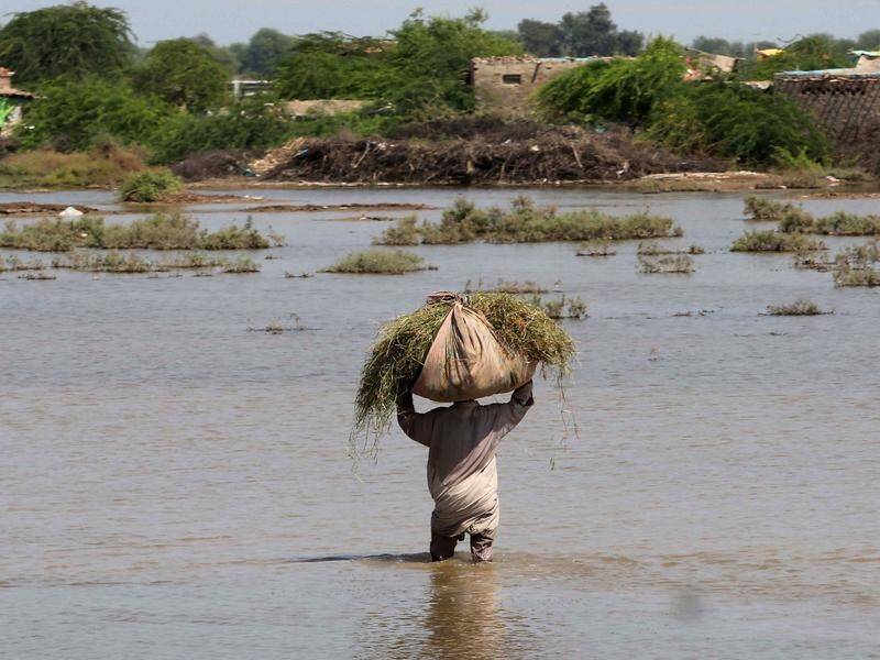 Climate change is contributing to food insecurity and to conflict, the UN Security Council was told. (EPA PHOTO)