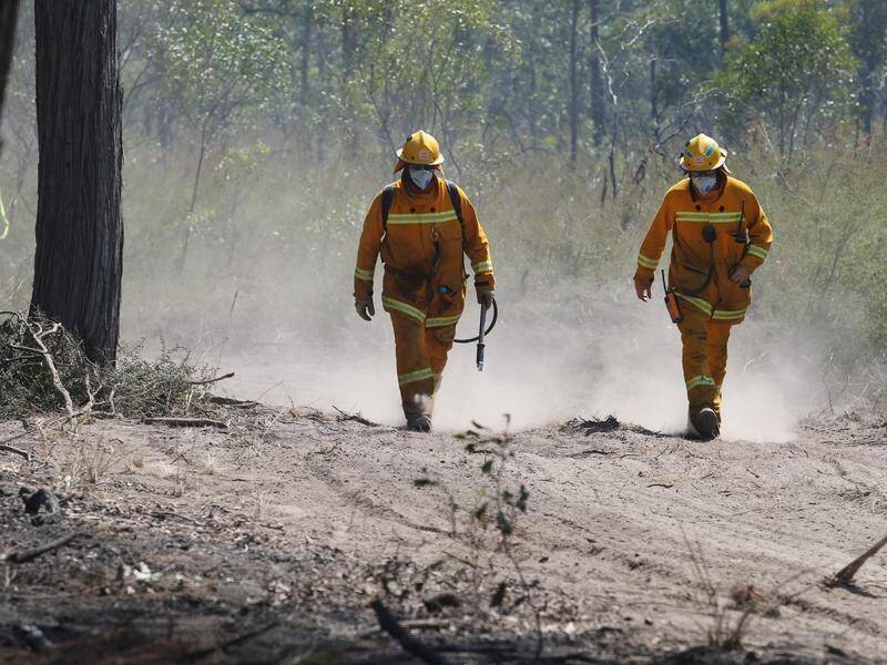 Vegetation growth in some suburban areas could mean a particularly tough fire season ahead. (David Crosling/AAP PHOTOS)