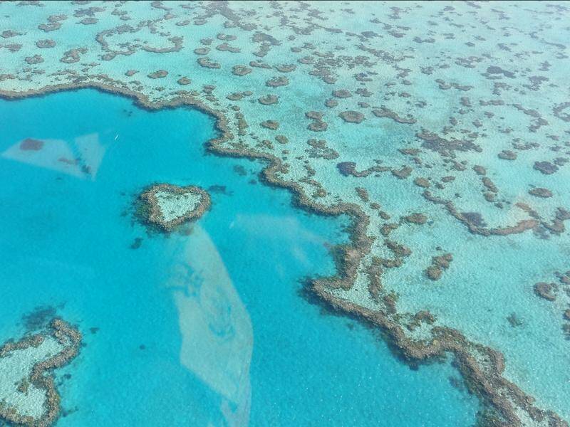 Tree clearing is the major threat to Great Barrier Reef's health, UNESCO warns. Photo: Emma Kemp/AAP PHOTOS