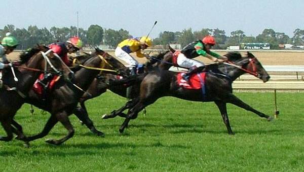 The Goulburn Cup is just around the corner. 