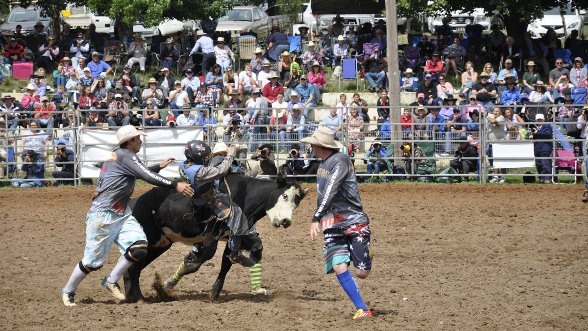 The Taralga Rodeo is back after three years off. Picture by Louise Thrower. 