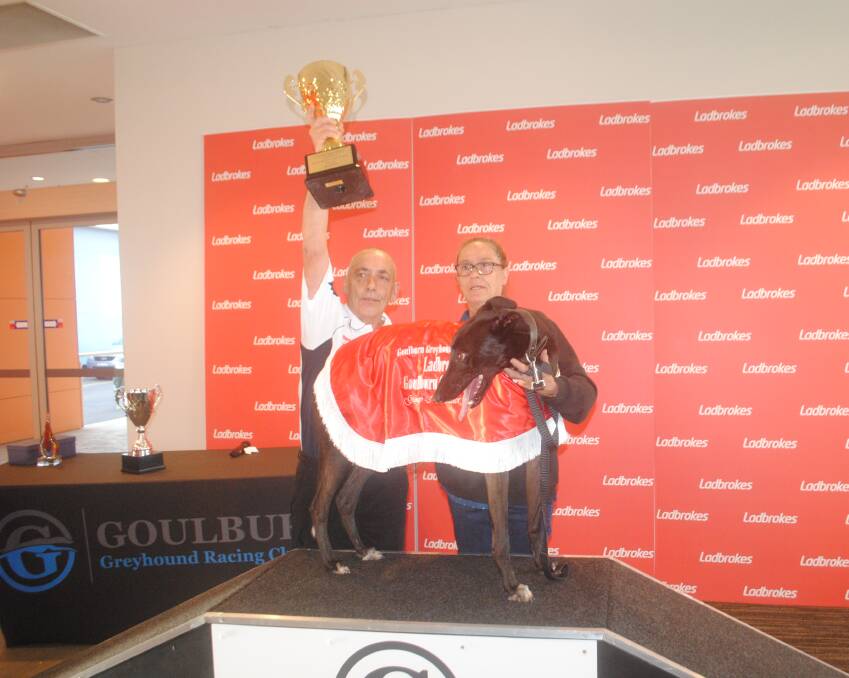 Goulburn Cup winner Mellcat Big Boy with owners John and Cath Mellon. Picture by Burney Wong. 